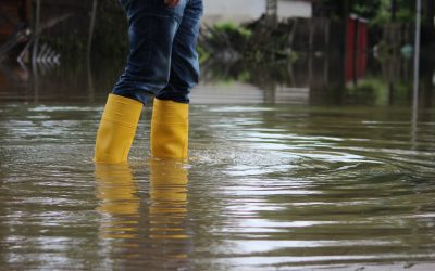 Recovering From Flooding